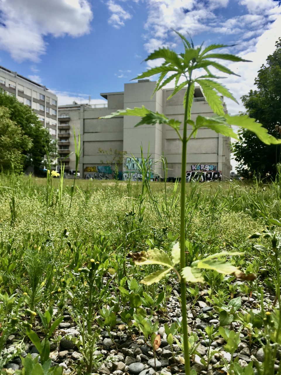 Album photos 18-24 13