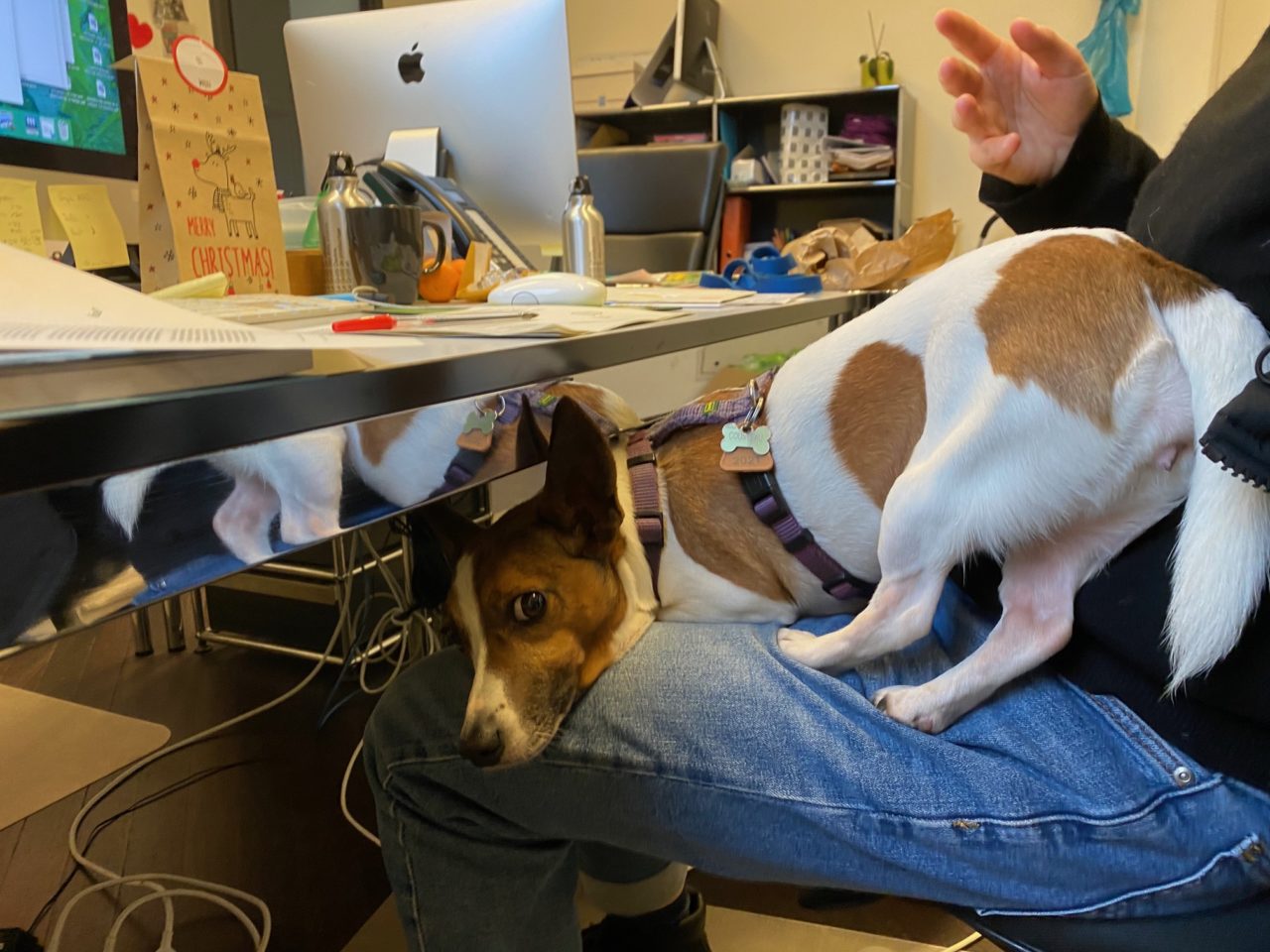 Album photos 18-24 151