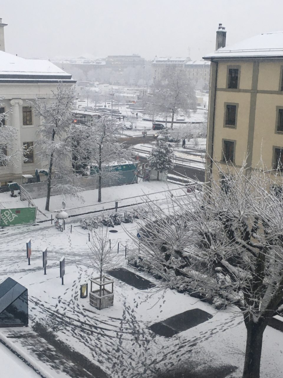 Album photos 18-24 16